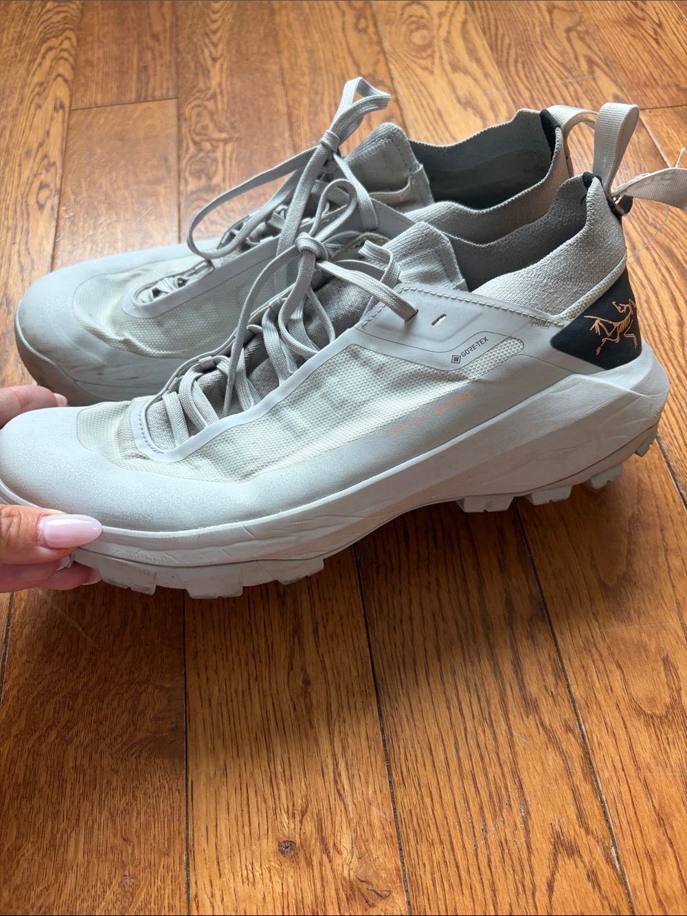 Arc’teryx VERTEX ALPINE GTX SHOE